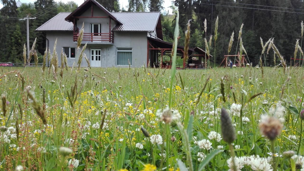 Cabana Georgiana Arieşeni Eksteriør billede